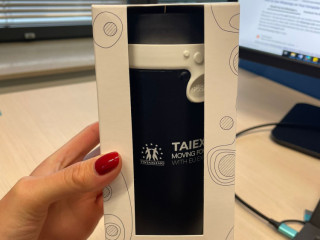 TAIEX mug